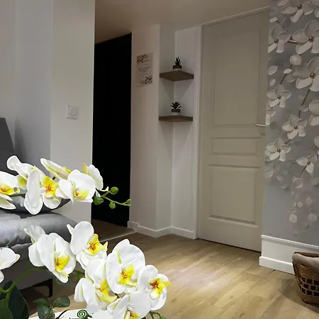 Appartement Ambiance Cocooning Pour Visiter La Normandie