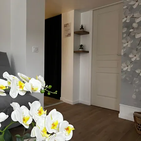Ambiance Cocooning Pour Visiter La Normandie * Giberville